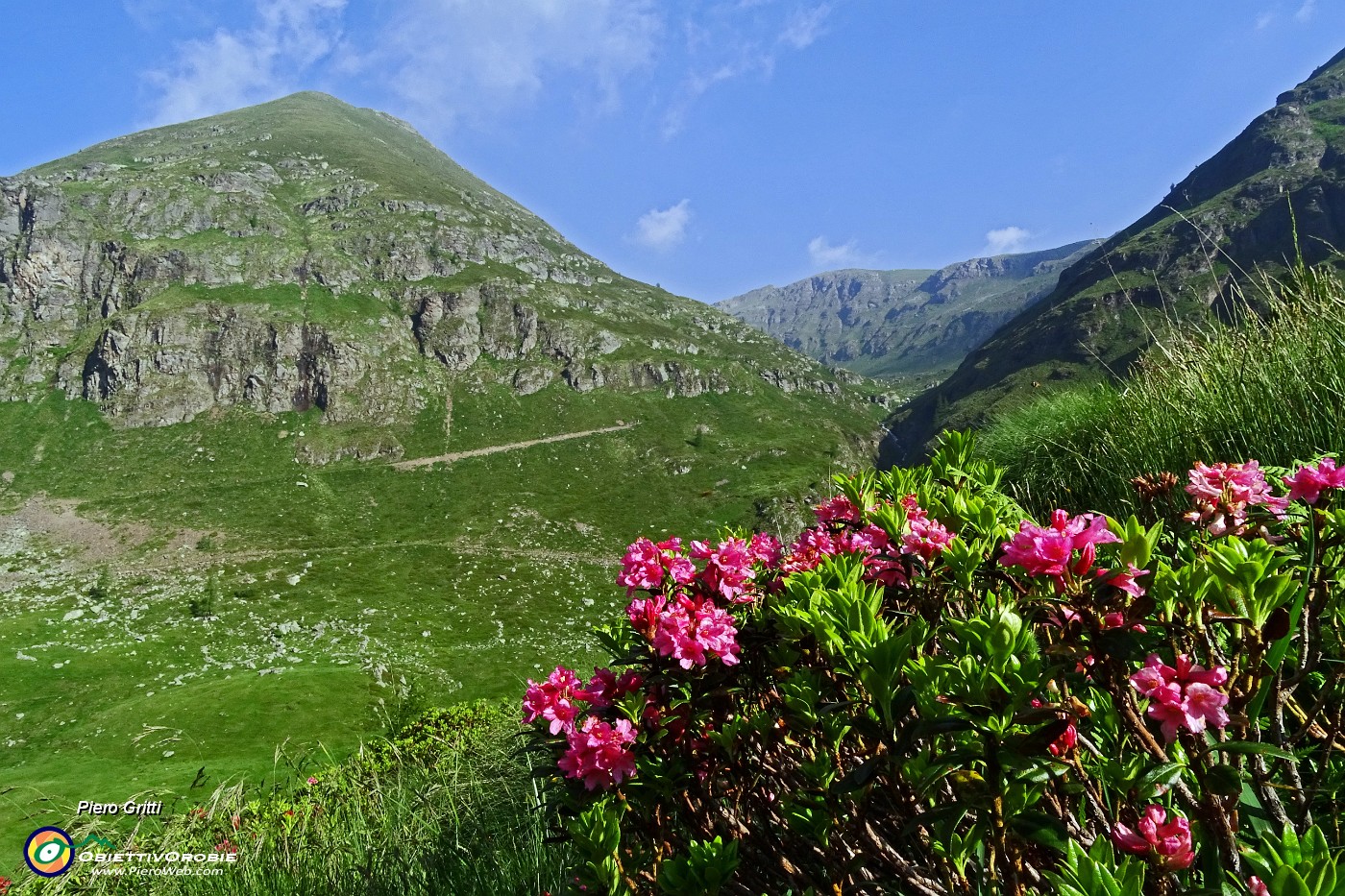 14 Rododendri in fiore con Monte Poiat (2324 m).JPG -                                
